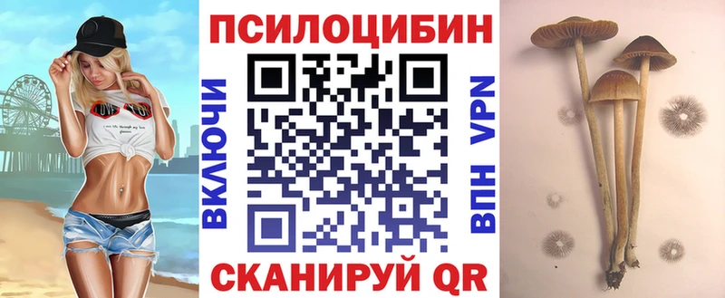 Псилоцибиновые грибы Cubensis  OMG   Лесосибирск 
