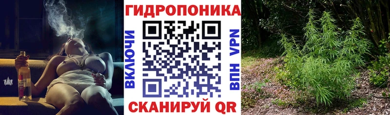 как найти закладки  Лесосибирск  Конопля THC 21% 